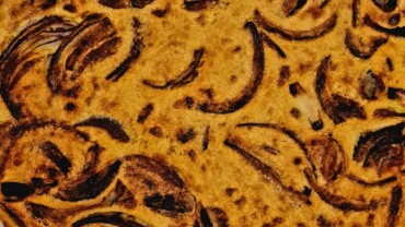 Farinata Cipolla
